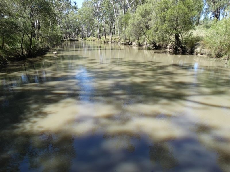 1230 ACRES – Clarkes Road, Chinchilla QLD 4413