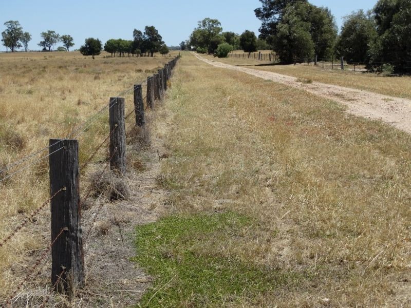 1230 ACRES – Clarkes Road, Chinchilla QLD 4413