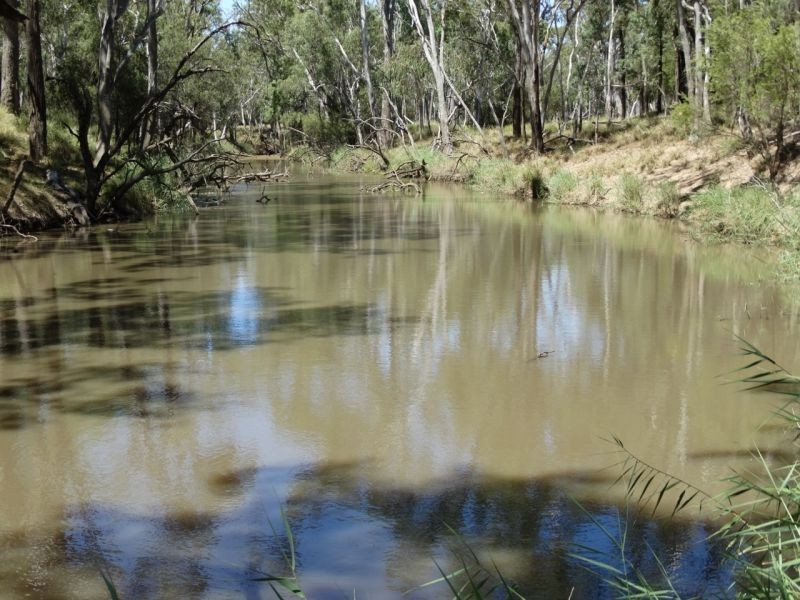 1230 ACRES – Clarkes Road, Chinchilla QLD 4413