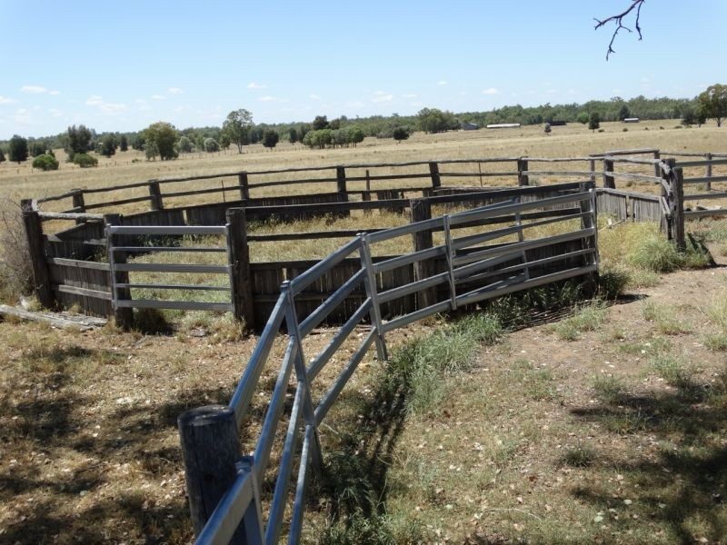 1230 ACRES – Clarkes Road, Chinchilla QLD 4413