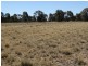 1230 ACRES – Clarkes Road, Chinchilla QLD 4413