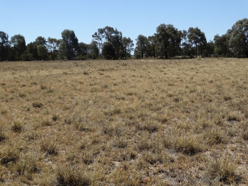 1230 ACRES – Clarkes Road, Chinchilla QLD 4413