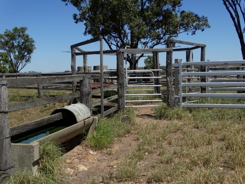 1230 ACRES – Clarkes Road, Chinchilla QLD 4413