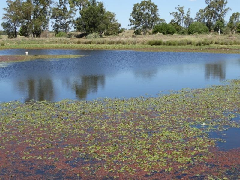 1230 ACRES – Clarkes Road, Chinchilla QLD 4413