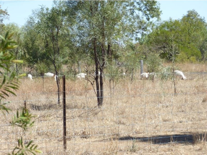 237 Price Street, Chinchilla QLD 4413