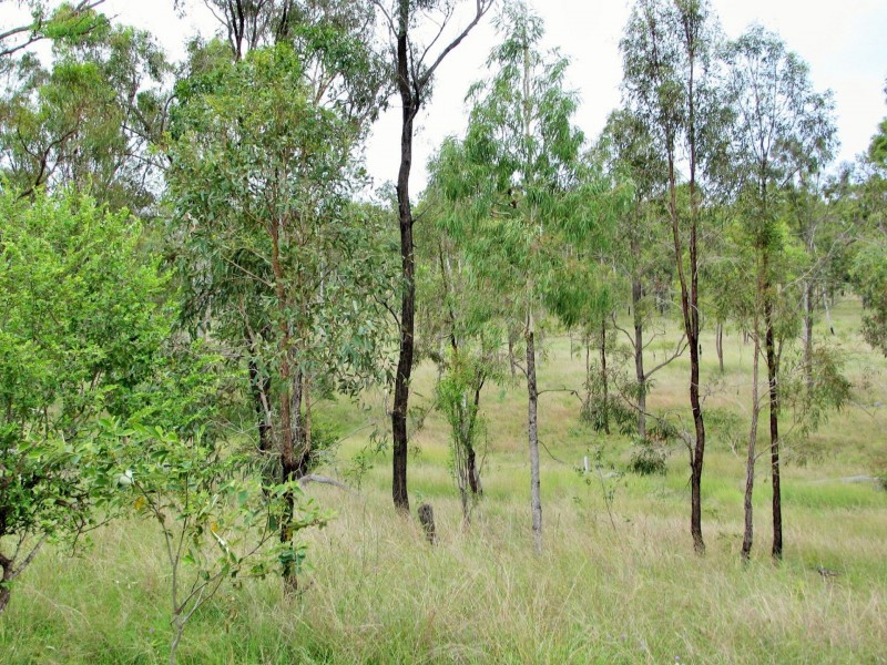 . Shellytop Road, Durong QLD 4610