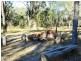 . Coverty Road, Proston QLD 4613