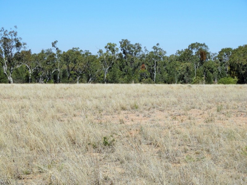 195 Auburn Road, Chinchilla QLD 4413