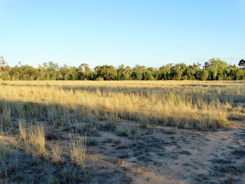 195 Auburn Road, Chinchilla QLD 4413