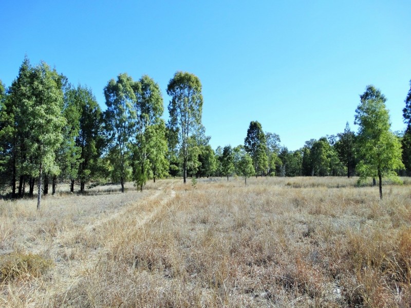 195 Auburn Road, Chinchilla QLD 4413