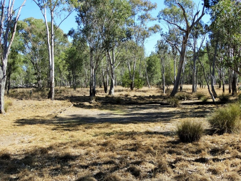 195 Auburn Road, Chinchilla QLD 4413