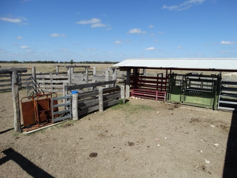 570 ACRES – Burncluith District, Chinchilla QLD 4413