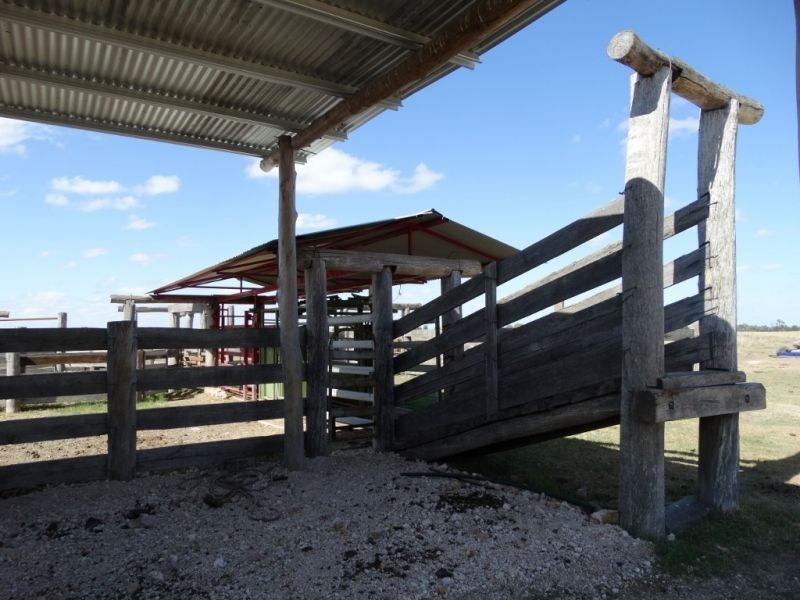 570 ACRES – Burncluith District, Chinchilla QLD 4413