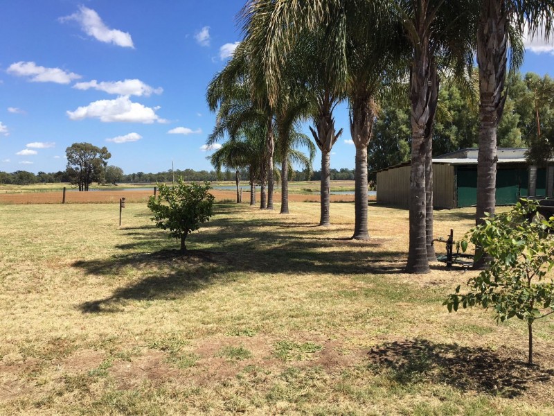 236 Nothdurfts Road, Chinchilla QLD 4413