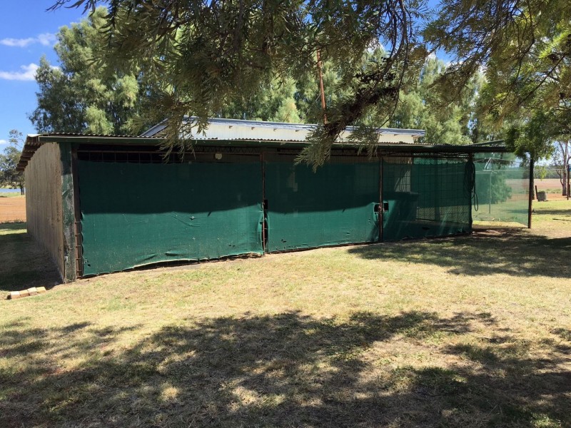 236 Nothdurfts Road, Chinchilla QLD 4413
