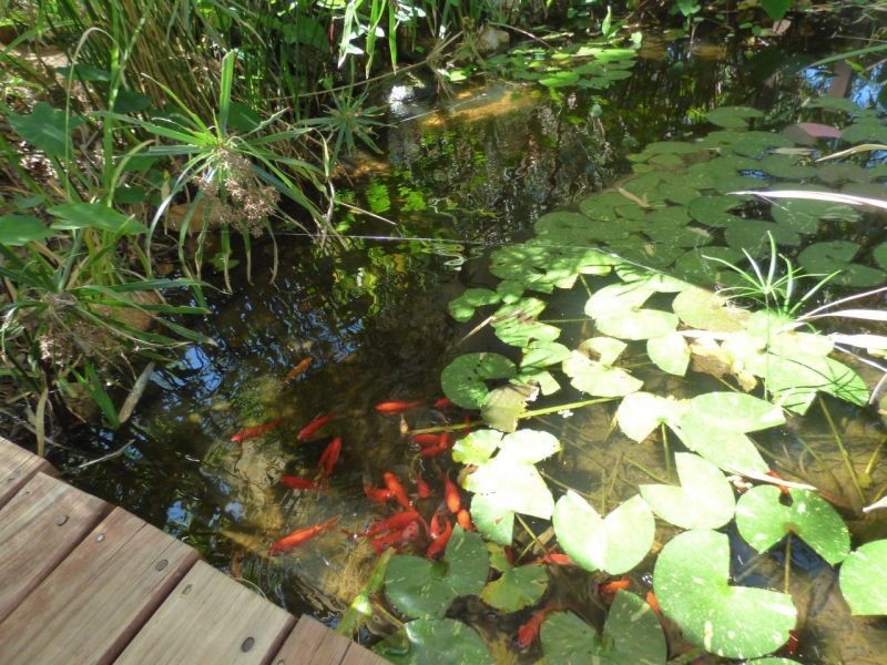 73 Carmichael Street, Chinchilla QLD 4413