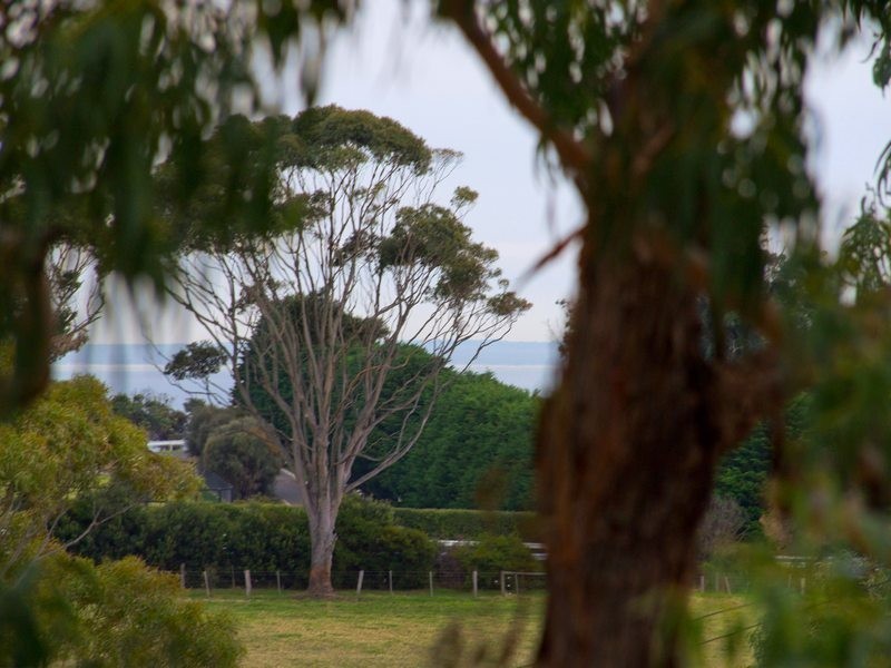 37 Beluga Street, Mount Eliza VIC 3930