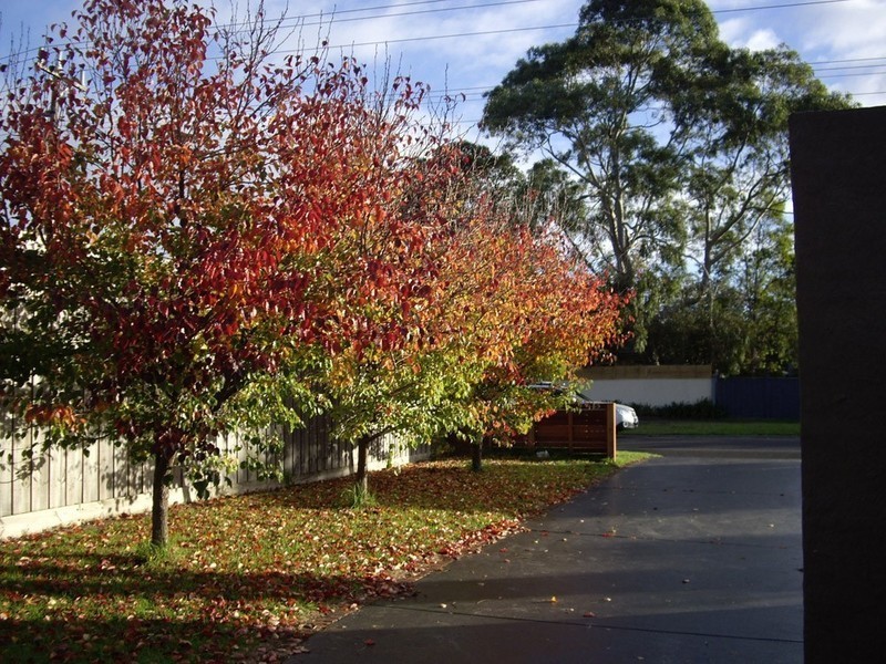 155 Kunyung Road, Mount Eliza VIC 3930