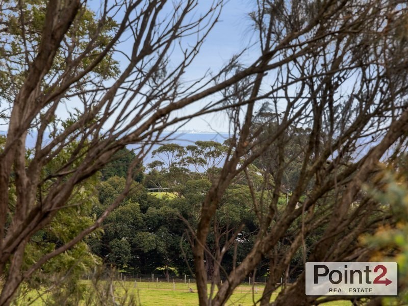 22 Volitans Avenue, Mount Eliza VIC 3930