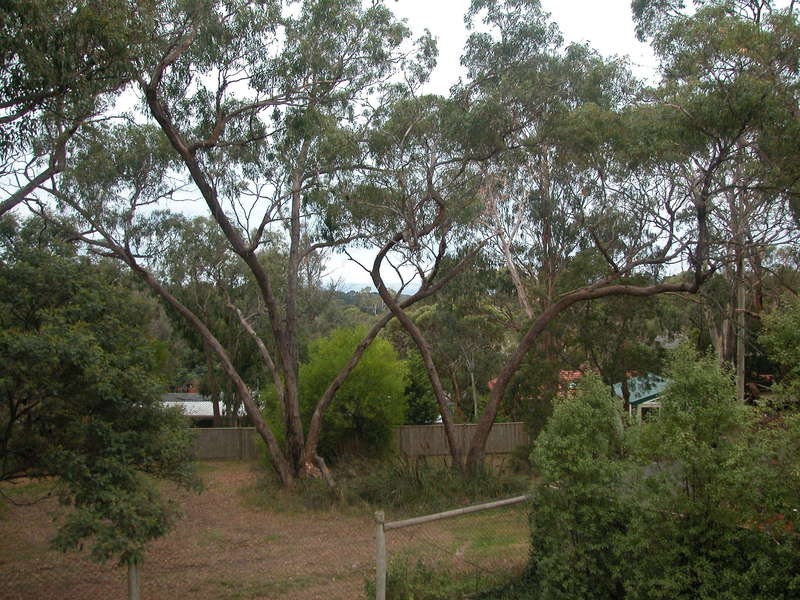 85 Quinns Parade, Mount Eliza VIC 3930