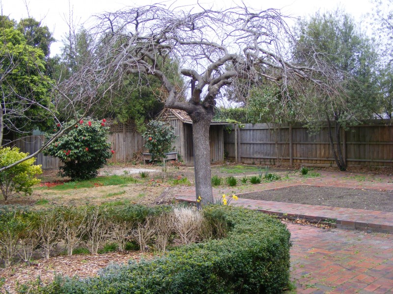 10 Bader Court, Frankston South VIC 3199