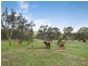 Lot 1 Old Dry Creek Road, Bonnie Doon VIC 3720