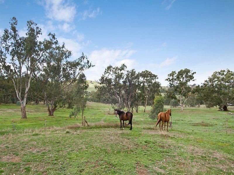Lot 1 Old Dry Creek Road, Bonnie Doon VIC 3720