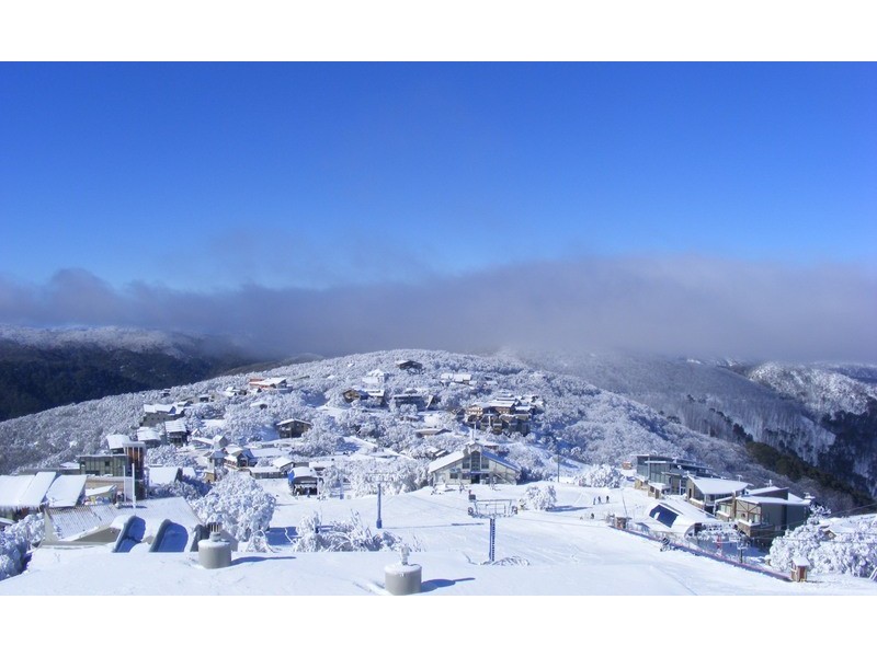 140 Delatite Lane, Mount Buller VIC 3723