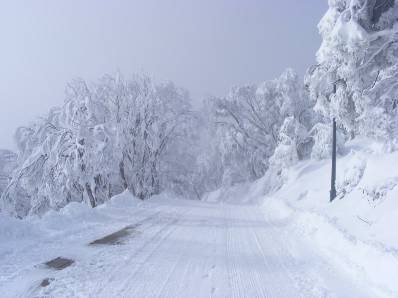 140 Delatite Lane, Mount Buller VIC 3723