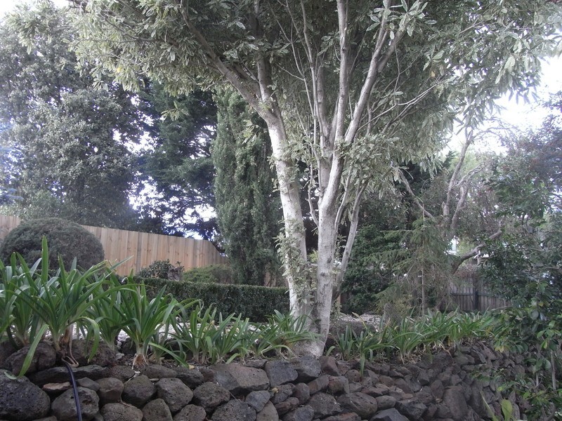 677 Nepean Highway, Frankston South VIC 3199