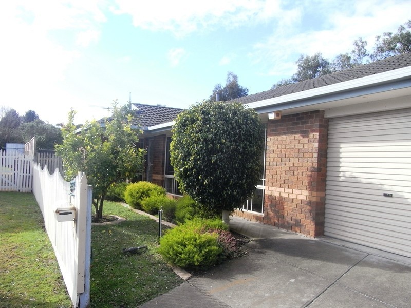 11 Marino Court, Mornington VIC 3931