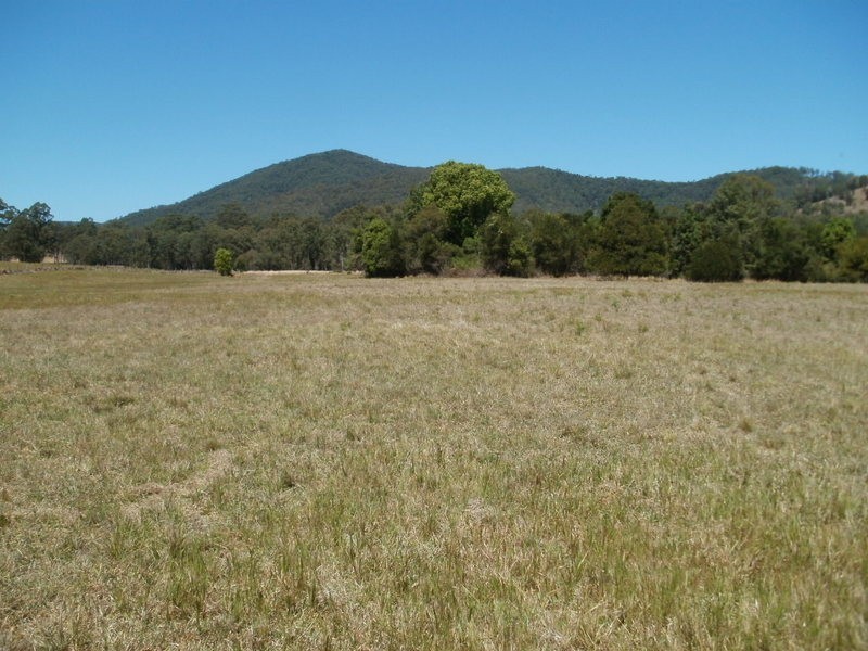 79 Red Gully Road, Burrell Creek NSW 2429