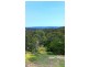 Mount Hutton NSW 2290
