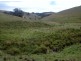 Singleton NSW 2330