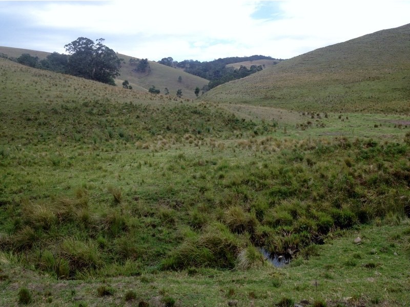 Singleton NSW 2330
