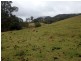 Singleton NSW 2330