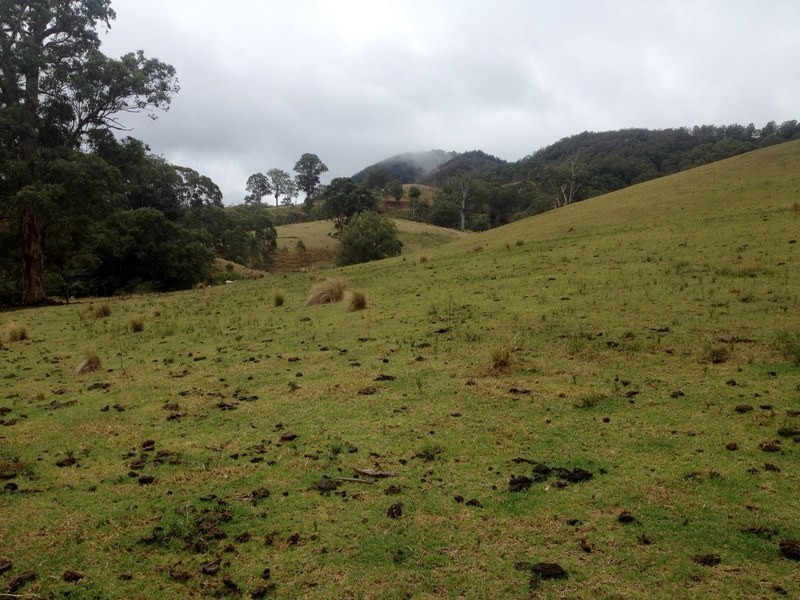 Singleton NSW 2330