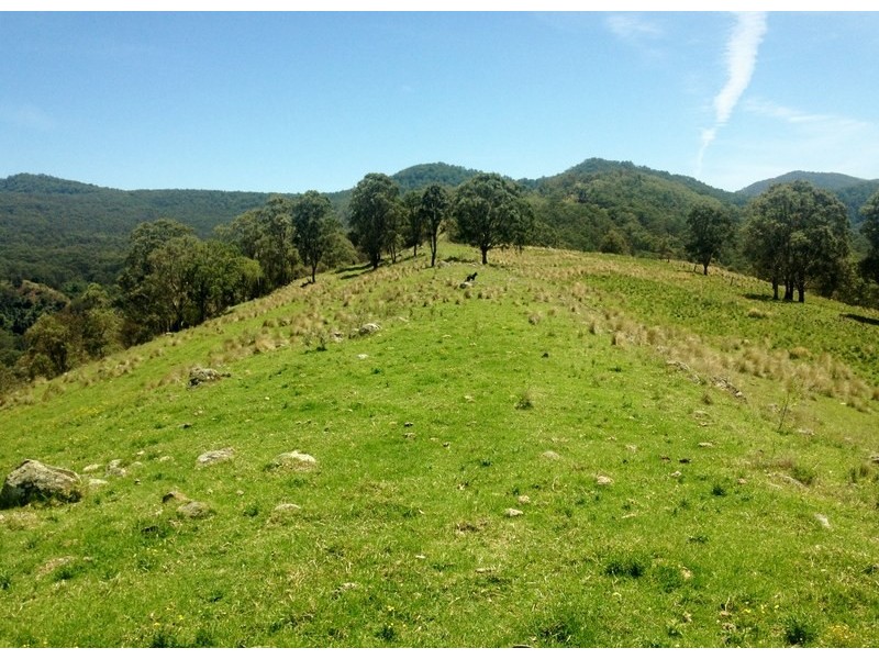 Singleton NSW 2330