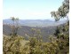 Singleton NSW 2330