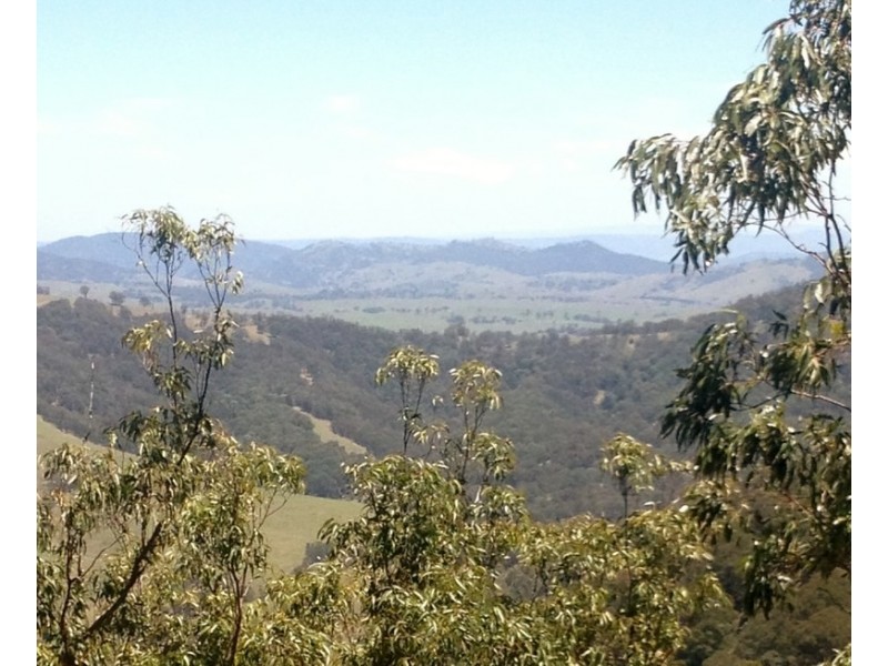 Singleton NSW 2330