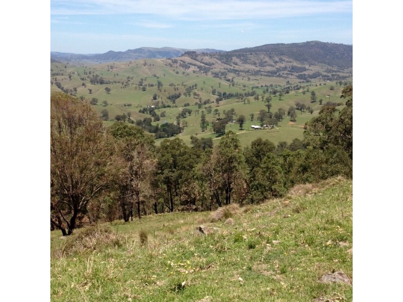 Singleton NSW 2330