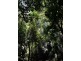 Singleton NSW 2330