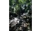Singleton NSW 2330