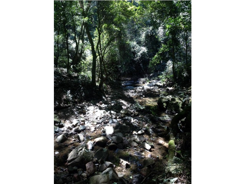 Singleton NSW 2330