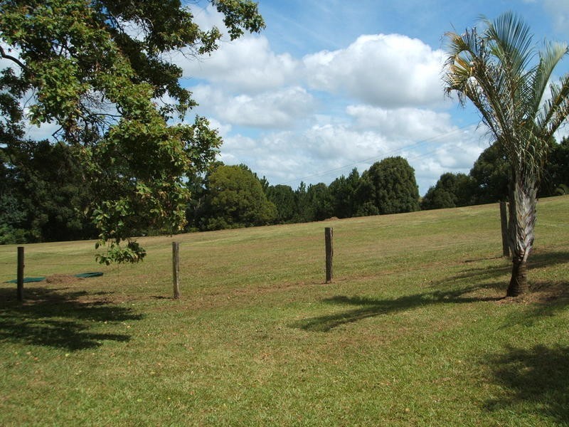 465 Pearces Creek Road, Alstonvale NSW 2477