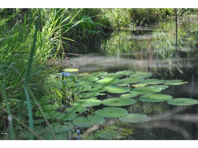 6 Palm Close, Pacific Palms NSW 2428