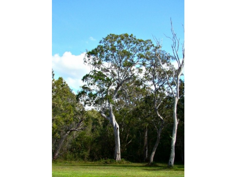 159 Clarendon Road, Peregian Beach QLD 4573