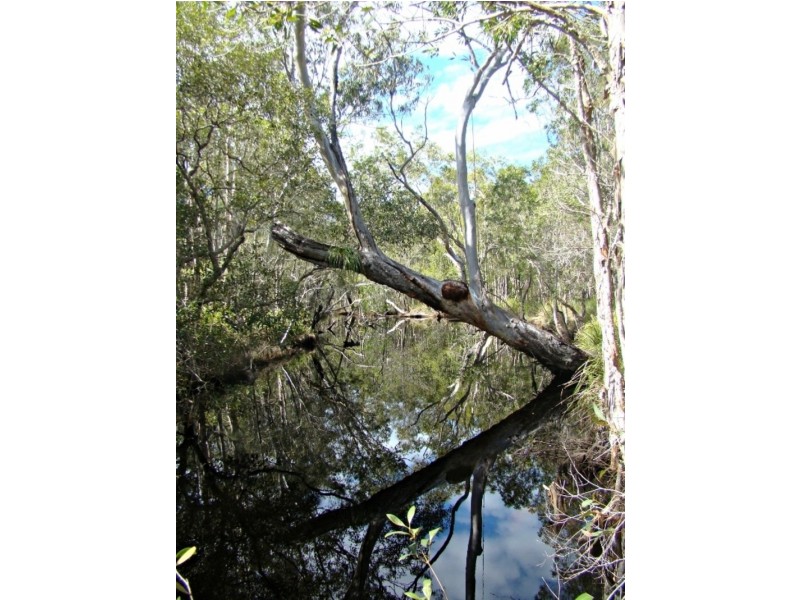 159 Clarendon Road, Peregian Beach QLD 4573