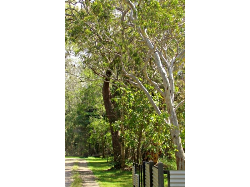 155 Clarendon Road, Peregian Beach QLD 4573