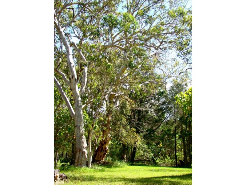 155 Clarendon Road, Peregian Beach QLD 4573